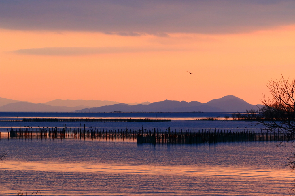 琵琶湖夕景