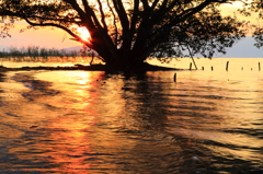 夕照