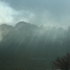 大原野
