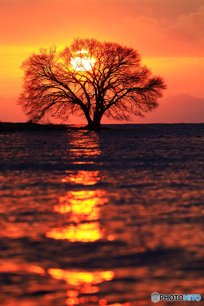 琵琶湖夕景_4