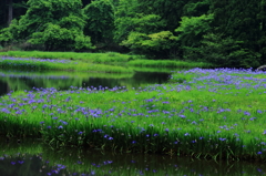 平池