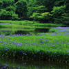 平池