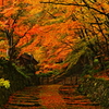 石垣参道