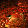 永源寺_5