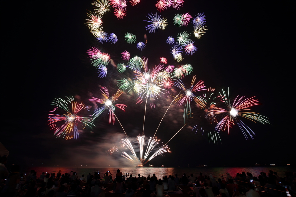 夜空を彩る