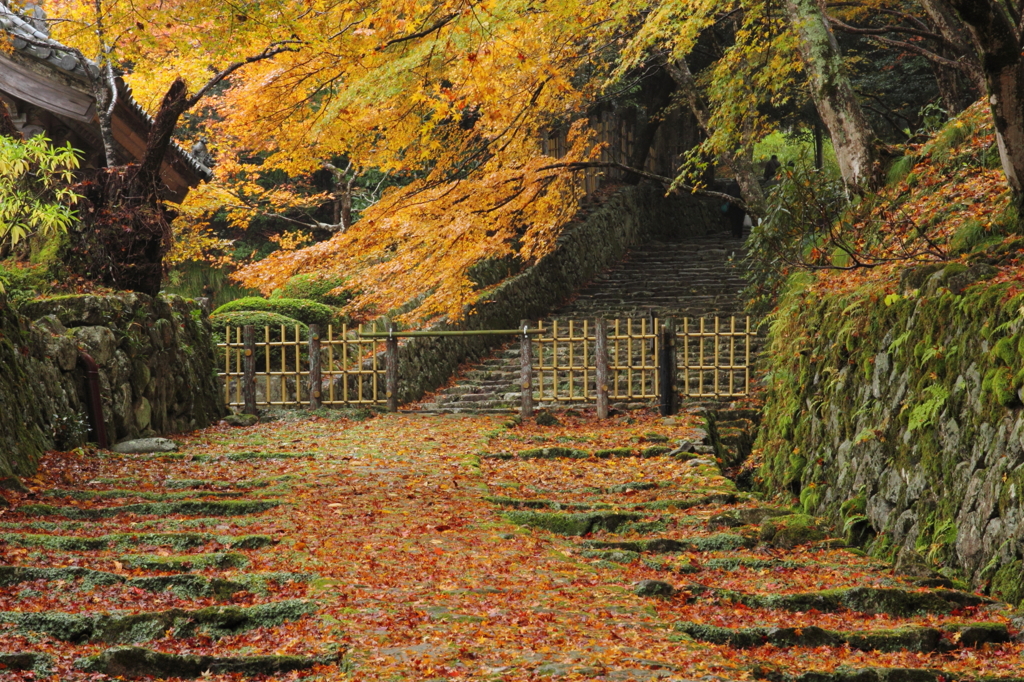 石垣参道
