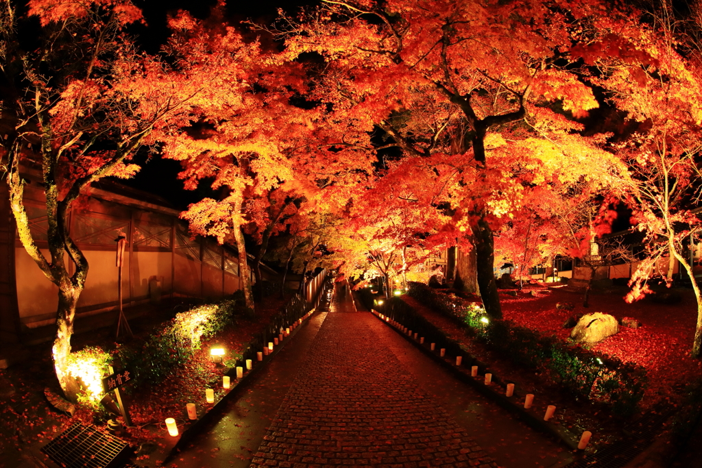 永源寺_4