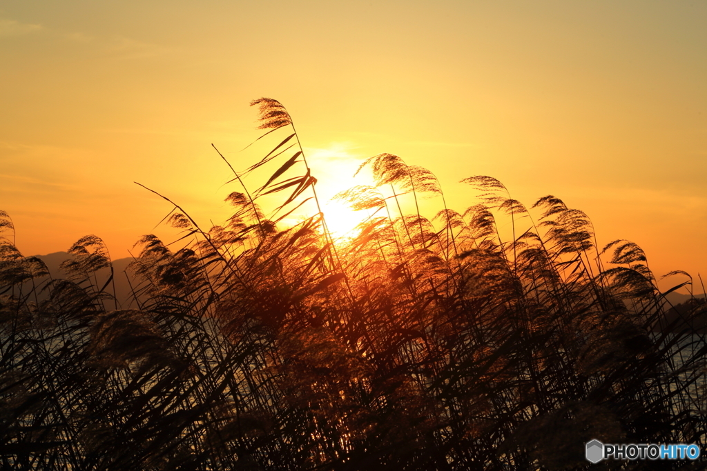 湖北夕景_1