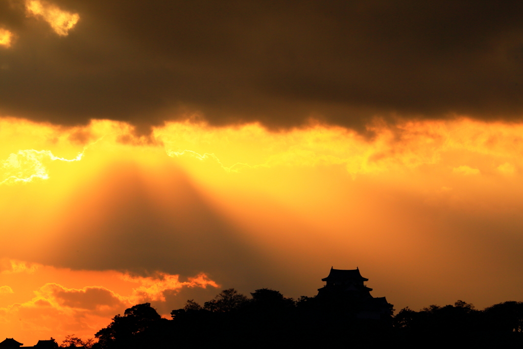 彦根城夕景