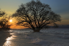 琵琶湖夕景