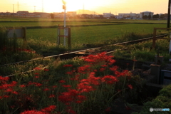 鉄路の傍で
