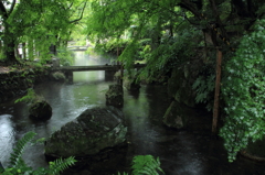 醒ヶ井宿地蔵川