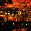 玄宮園