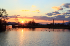 曽根沼の夕陽