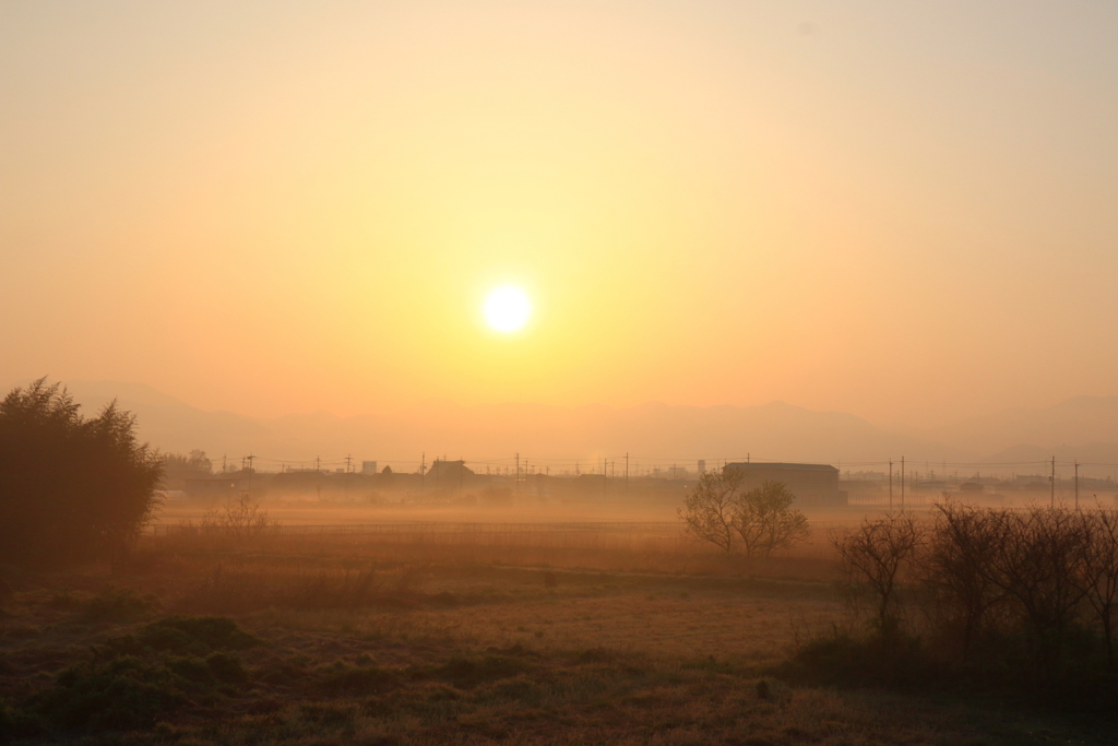 朝靄の町