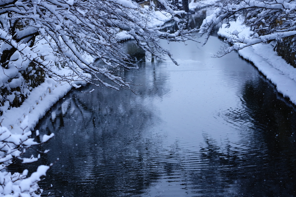 八幡堀雪景色_1