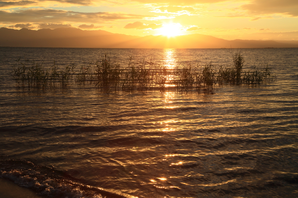 琵琶湖夕景