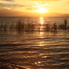 琵琶湖夕景