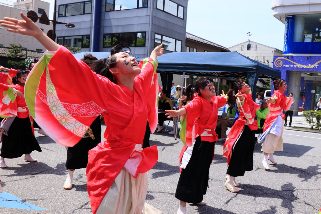 よさこいソーラン日本海彦根三十五万石大会_1