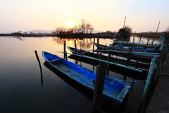 西の湖の朝