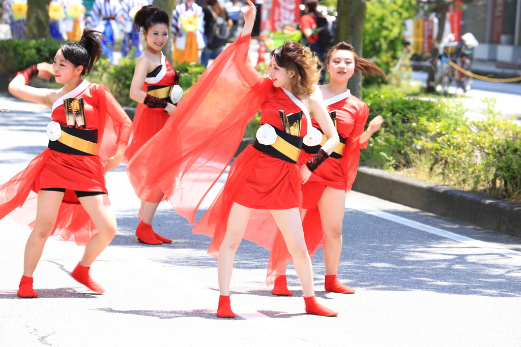 よさこいソーラン日本海彦根三十五万石大会_10