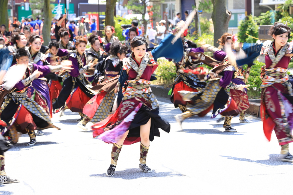 よさこいソーラン日本海彦根三十五万石大会_9