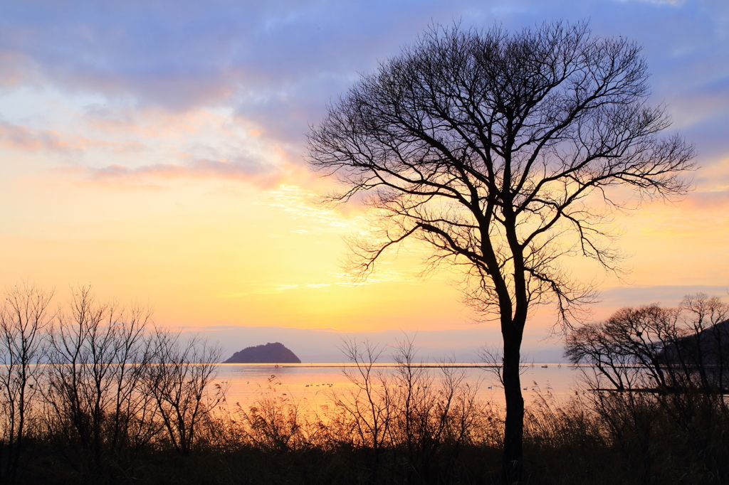 湖北夕景
