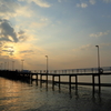 朝の桟橋
