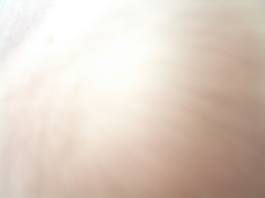 Gradation