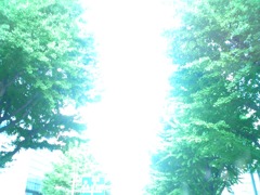 CIMG0554