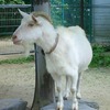 あんた、ヒマなんでしょ。