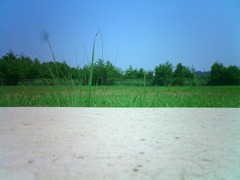 Vacant Lot