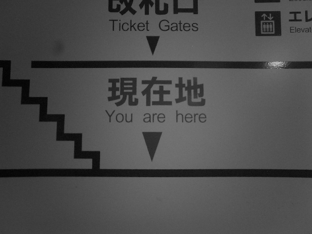 You are here