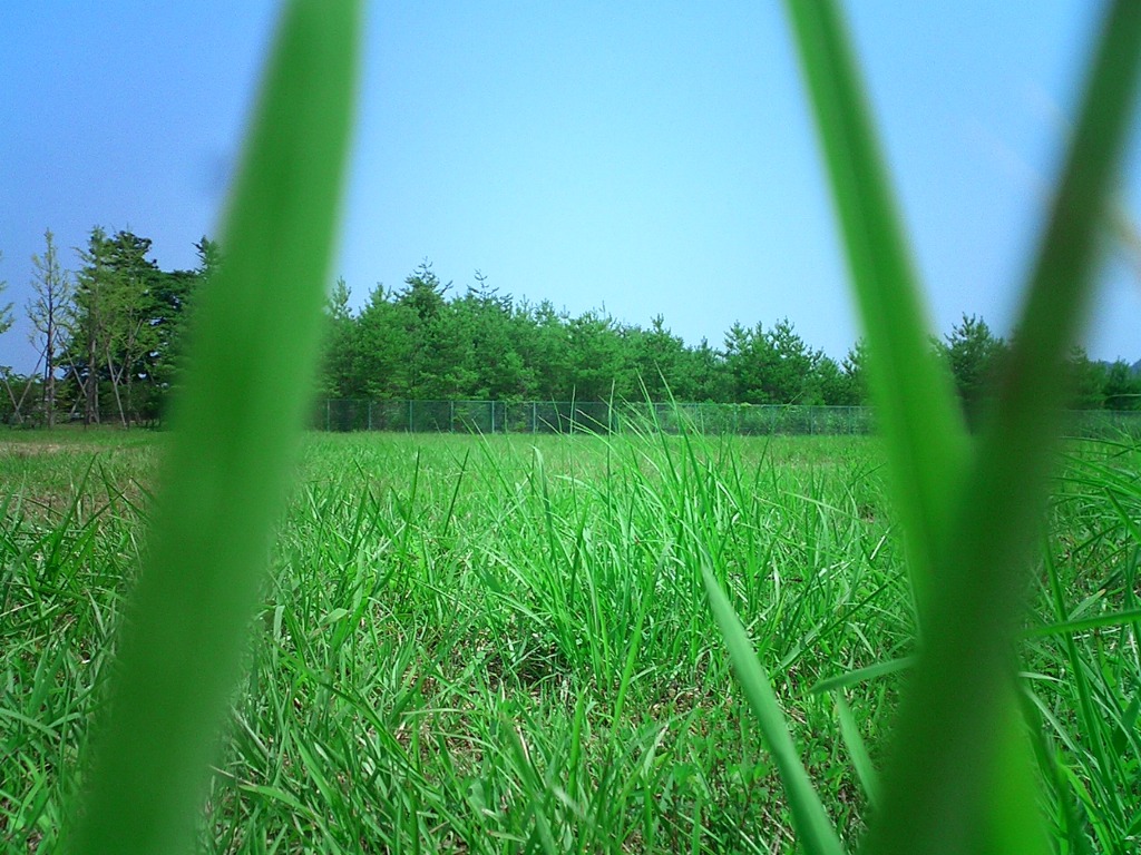 Vacant Lot