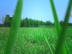 Vacant Lot