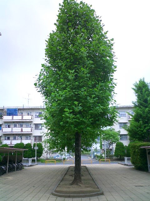 022
