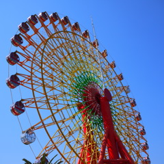 時々スケルトン