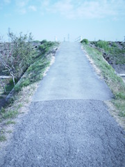 道の向こう