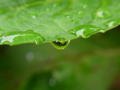 雨上がり