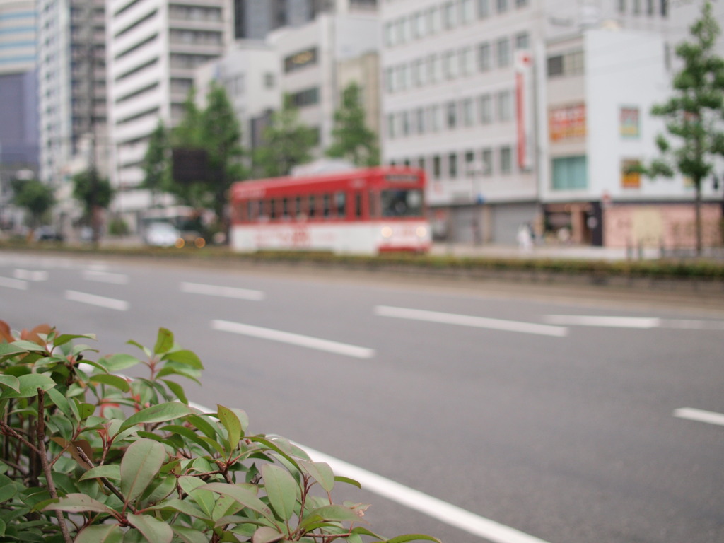 赤い電車が走る街