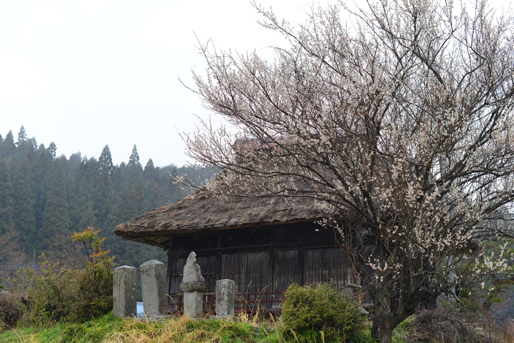 芦野子育て地蔵