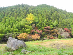 紅葉合戦