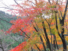 戸中峠2