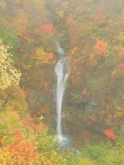 那須駒止の滝