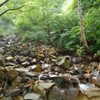 高原のせせらぎ