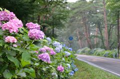 那須街道の宝石