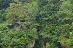 閑さや岩にしみいる蝉の声