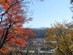 伊王野城から町を見下ろす