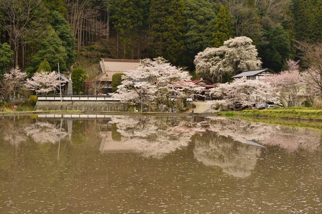 長源寺と田園