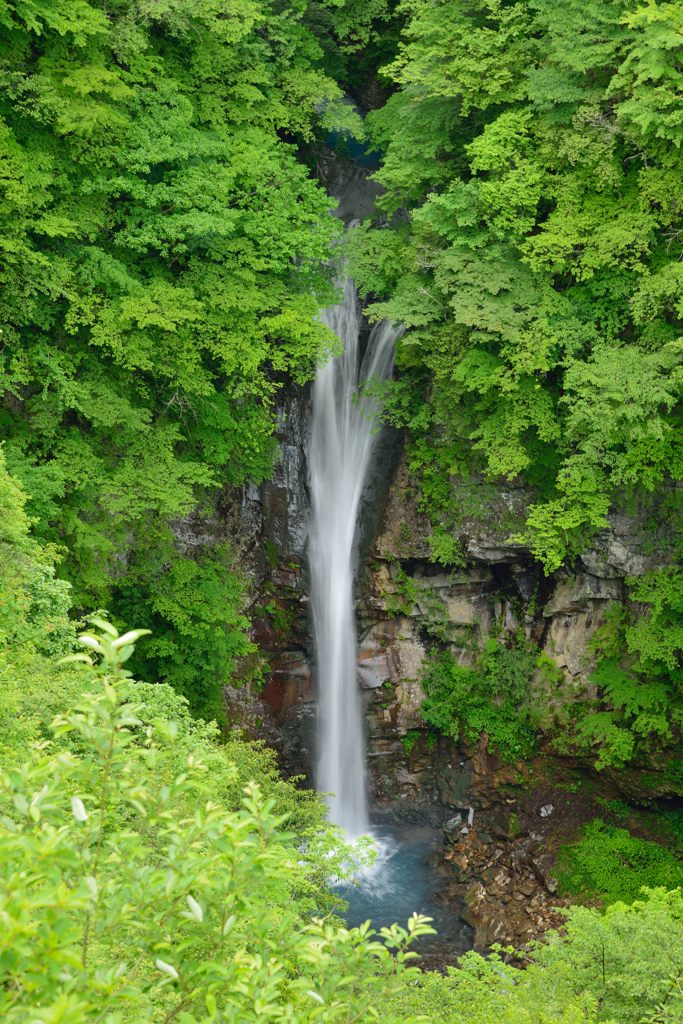 深緑の駒止の滝